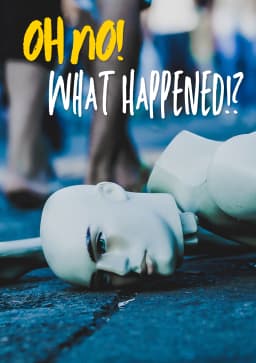 What Happened?